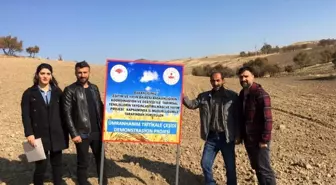 Tunceli'de tritikale demonstrasyonu için ekimler yapıldı