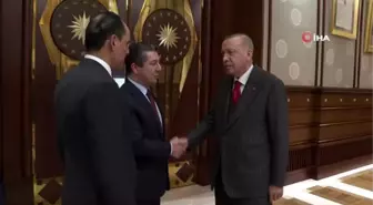 Cumhurbaşkanı Erdoğan, Mesrur Barzani'yi kabul etti