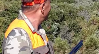 Dilek Yarımadası'nda koruma faaliyetleri devam ediyor