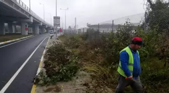 Yeni çevre yolu refüjlerinde temizlik yapıldı