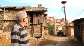 Profesör leylek yuvalarını temizledi