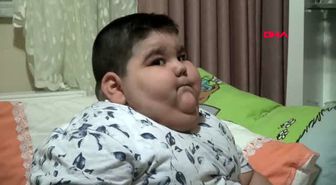 Samsun-4 yaşında 70 kiloya ulaşan yağız, yardım bekliyor