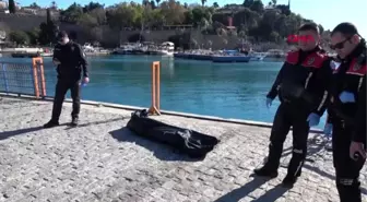 Antalya-köpeğini emanet edip, 40 metreden ölüme atladı