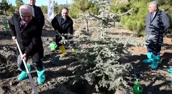 İNTES'in fidanları 'geleceğe nefes' olacak