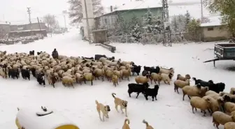 Konya'da yaylalar beyaza büründü