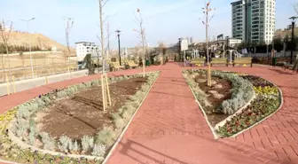 Alacaatlı'ya yol boyunca yeni park