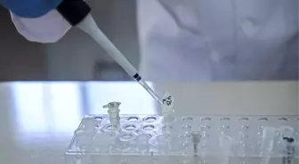 ABD'li bilim insanlarından bebeklerin geniyle oynayan Çinli biyofizikçiye tepki; başarısız ve yalan