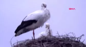 Ardahan beyaza büründü