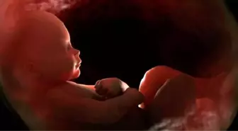 Bebeğin hayat suyu 'Amnion Sıvısı' merak edilenler!