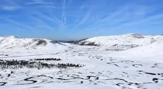 Karadeniz'in menderesleriyle ünlü Perşembe Yaylası beyaza büründü