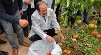 Vali Pehlivan: Habur Sınır Kapısı'ndan ihracat yüzde 30 arttı