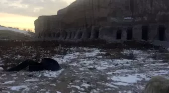 Belediye Başkanı köpekler için dağda oyuk açtırdı