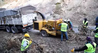 Çalı, çırpı ve dallardan organik gübre üretimi