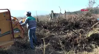 Çalı, çırpı ve dallardan organik gübre üretimi