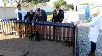 Manisa'da hayvan bakım merkezleri kışa hazır