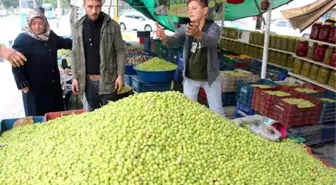 Günde 8 ton Şanlıurfa zeytini satılıyor