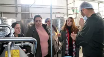 Kadın girişimciler Yüksekova'da işletmeleri gezdi