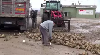 Sivas'ta soğuk havada pancar mesaisi