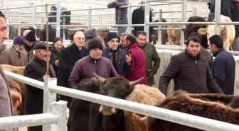 Ensar Ögüt, hayvan pazarında besicilerle bir araya geldi