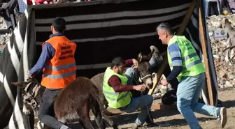 Eşekler üzerinde iki takımın kıran kırana futbol maçı