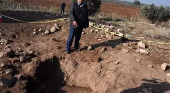 Saruhanlı'da izinsiz kazıda ortaya çıkarılan mozaikler heyecan yarattı