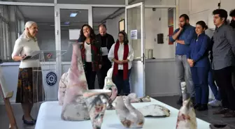 EgeArt Sergileri sanatseverlerle buluşmaya devam ediyor