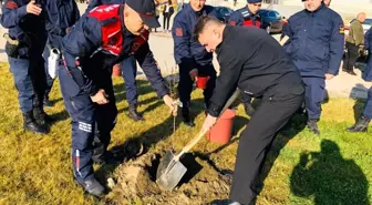 Salihli fakültesinde fidanlar toprakla buluştu