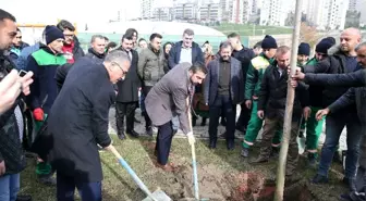 60'ıncı yıla 600 ağaç