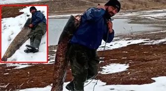 Görenler hayretler içinde kaldı! Boyundan büyük balığı taşımakta zorlandı