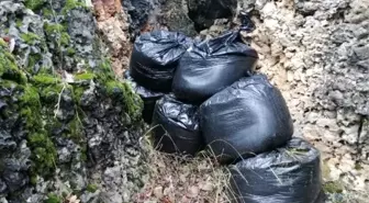 Diyarbakır'da 364 kilo esrar ele geçirildi