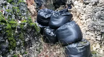Diyarbakır'da 364 kilogram esrar ele geçirildi