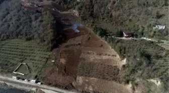 'Drakula'nın tehdit ettiği fındık dallarını yakıp, imha ediyorlar