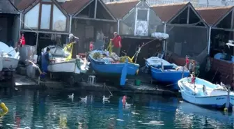 Hamsi avcılığı sınırlansın talebi