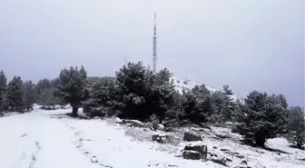 Muğla'ya mevsimin ilk karı