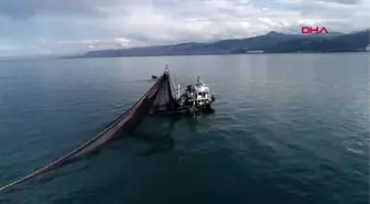 Trabzon hamsi avcılığı sınırlansın talebi