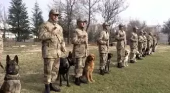 Yerli ırk köpekler, Nevşehir'deki JAKEM'de eğitiliyor