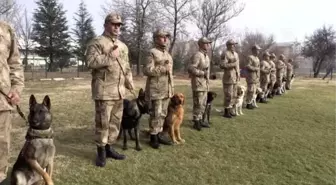 Yerli ırk köpekler, Nevşehir'deki JAKEM'de eğitiliyor