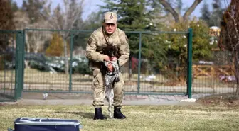 Yerli ırk köpekler, Nevşehir'deki JAKEM'de eğitiliyor