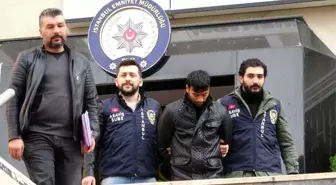 'Ninja Kaplumbağalar' yakayı ele verdi