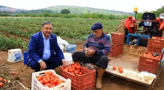 Baştuğ'dan sahte ve taklit zirai ilaç uyarısı