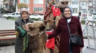 Bursa sokaklarına develer indi