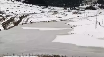 Ordu'da araçlar buz tutan yolda kaldı, gölet dondu