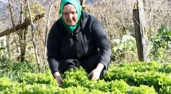 Ukraynalı Nataliya herkesin 'Şengül abla'sı oldu