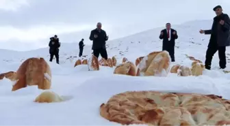 Doğaya 1001 ekmek bıraktı