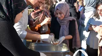 Eynesil'de 'Hamsi Şenliği' düzenlendi