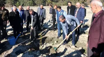 Mudurnu'da kızılcık fidanı dikimi yapıldı