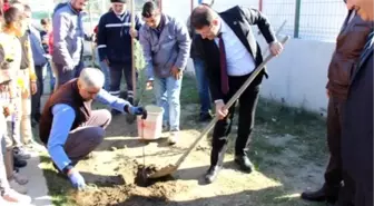 Samandağ'da okul bahçeleri ağaçlandırılıyor