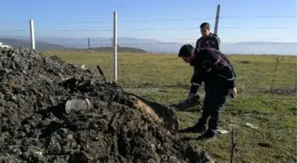 İznik'te kimyasal atık AFAD'ı harekete geçirdi