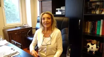 Adalar'daki atlarda ortaya çıkan ruam hastalığıyla ilgili uzman isimden uyarı