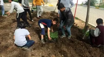 Ziraat mühendisi adayından Genç Mühendisler Projesi